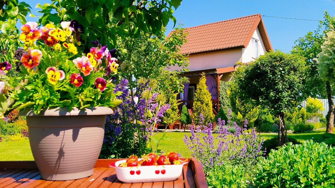 Необычный огород 🌿 Всё растёт! Лето, свежие овощи и салат 🍅 #огород #жизнь #лето 