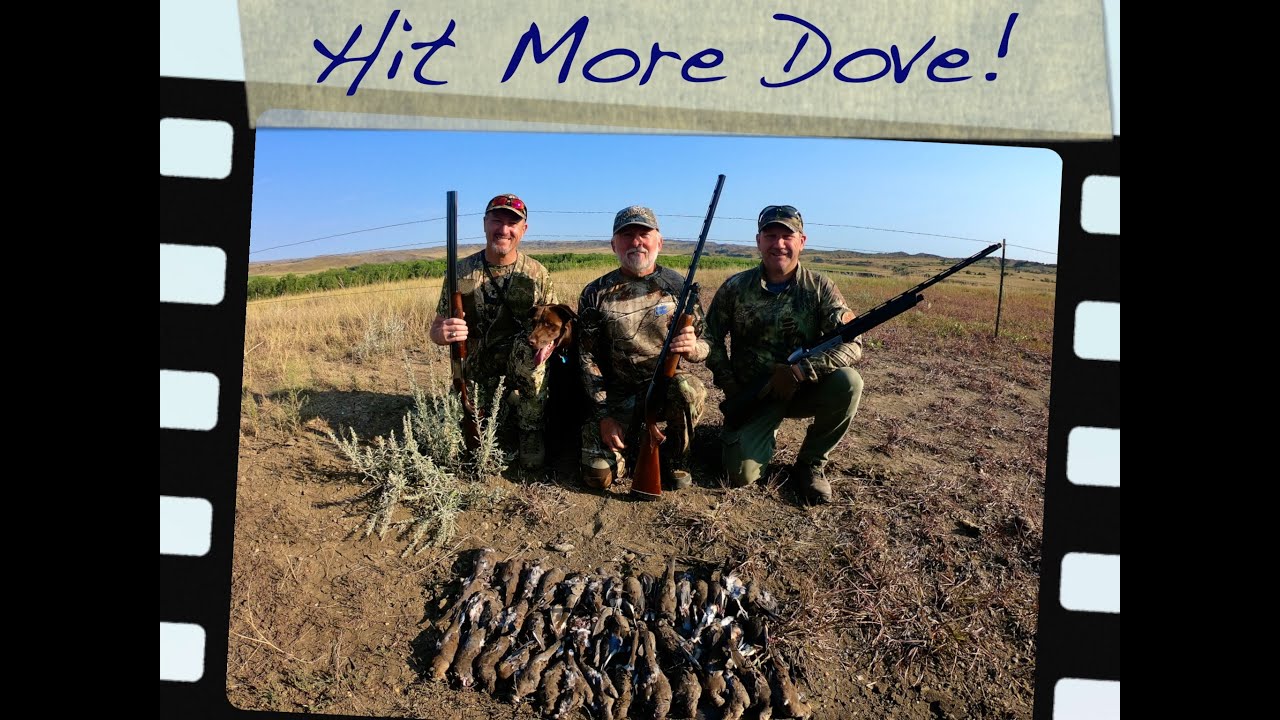 Hit More Dove this Fall/Your Guide to Better Wing Shooting!