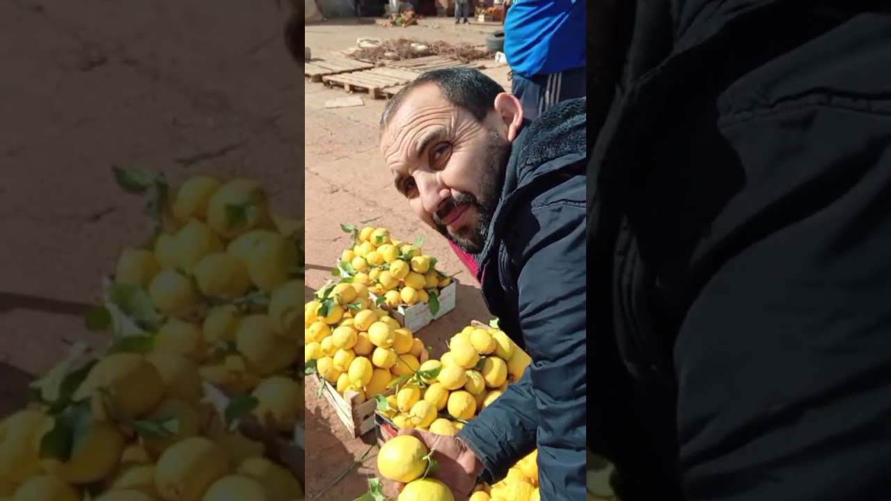 مزال الأثمنة مرتفعة من سوق الجملة للخضر و الفواكه بالناظور 19/02/2026 #بركان #الريف #الناظور