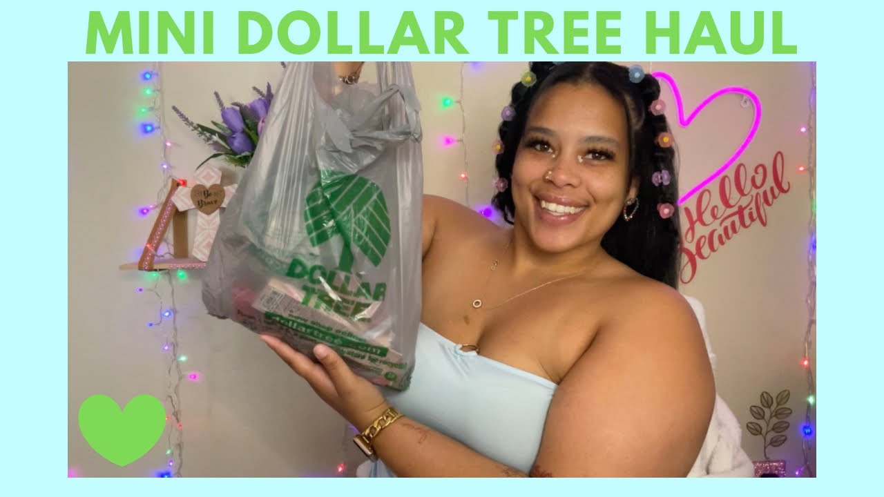 Mini Dollar Tree Haul | New ioni items ❤️