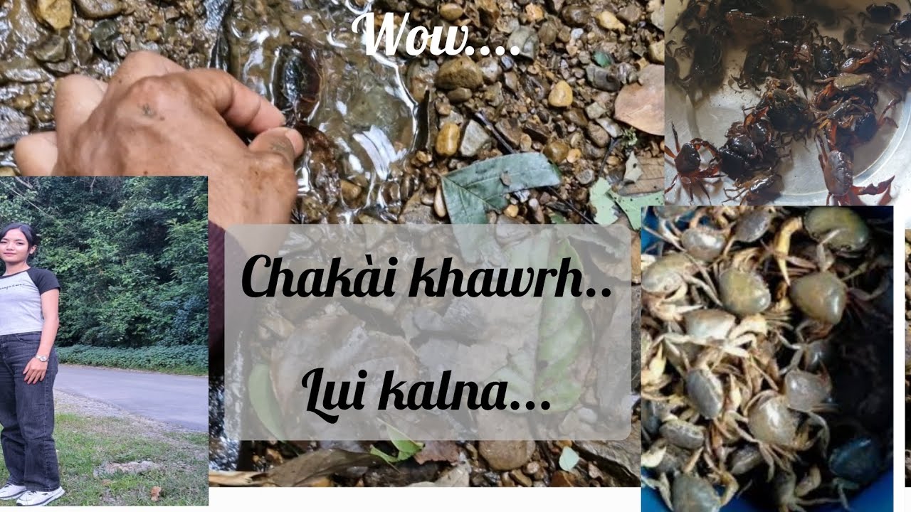Chakai kan khawrh e||Lui kan kalna leh a chheh vel||mizoram