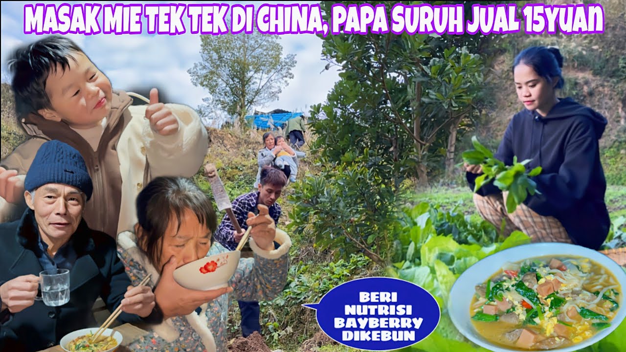 BERI PUPUK NUTRISI UNTUK BAYBERRY LANJUT MASAK MIE TEK TEK KUAH, PAPA SURUH JUAL 15yuan/PORSI