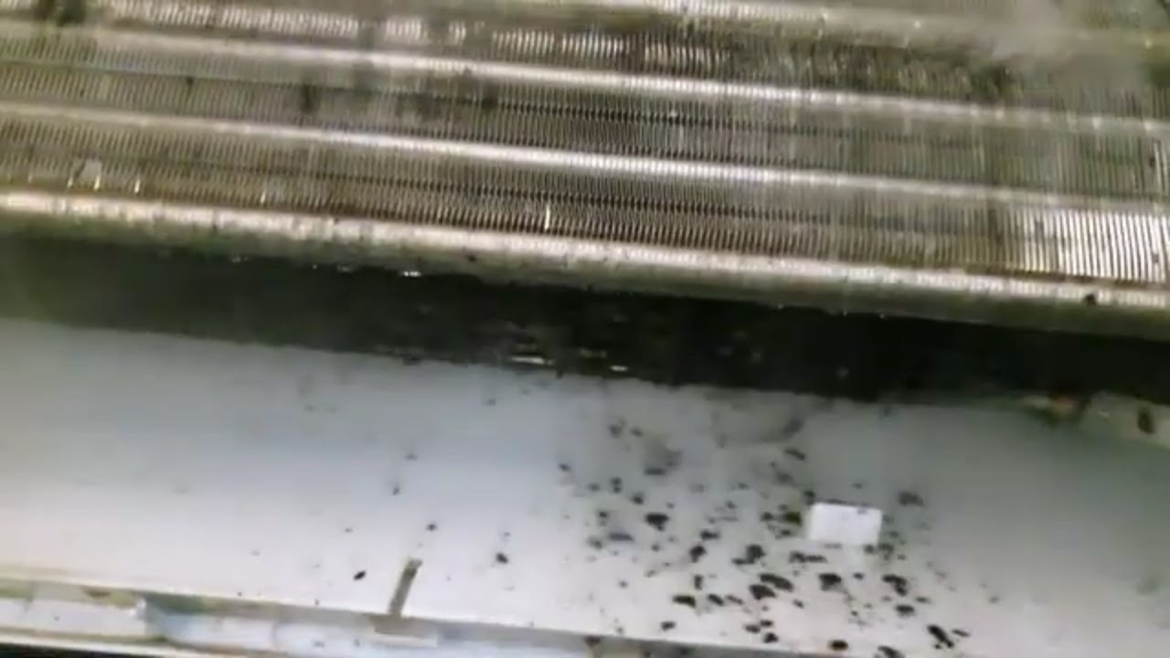 Nettoyage Climatisation - Nettoyage vapeur d'une turbine de ventilation