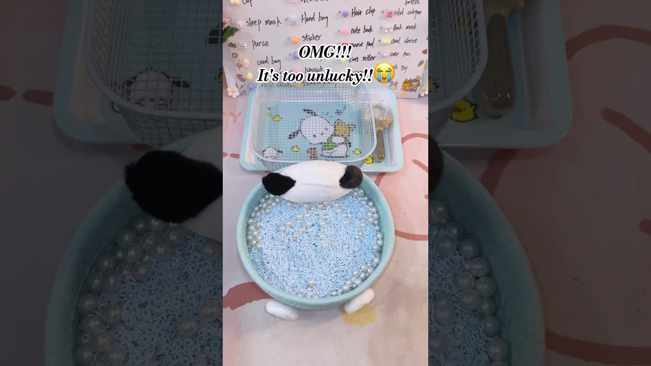 #fyp #fypusa #fypusa🇺🇸 #luckyscoop #SmallBusiness #cute #gift #mysteryscoop #packingorders#asmr