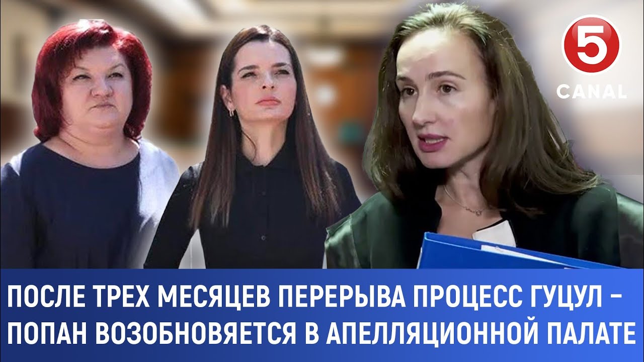 После трех месяцев перерыва процесс Гуцул – Попан возобновляется в апелляционной палате