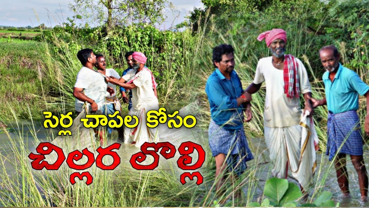 పచ్చాపలకోసం పగపట్టిండ్లు | palle ramulu village comedy | chapala kotlata | village fun #trending