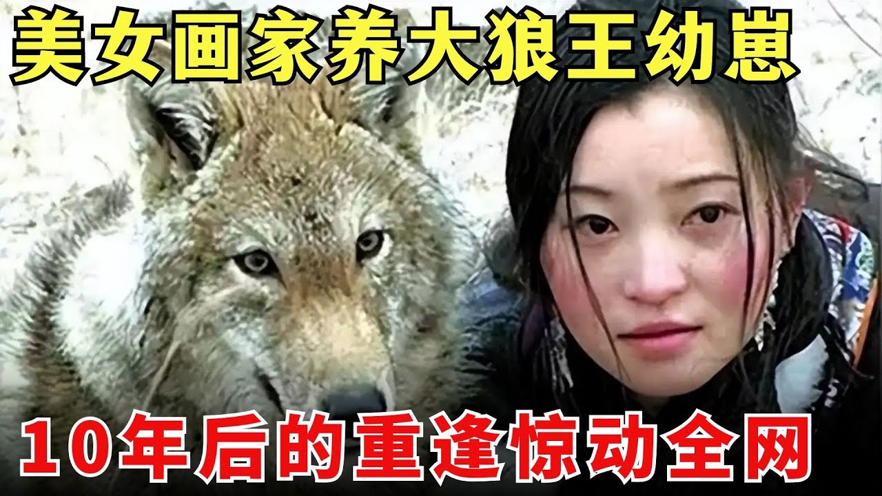 终于明白《重返狼群》为什么2026又火了！“妈妈，靠近你就靠近了痛苦，远离你就远离了幸福”！#李微漪 #格林 【大开眼界】