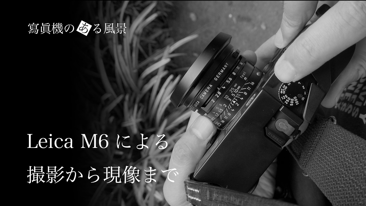 ライカ Leica M6によるフィルム撮影から現像まで