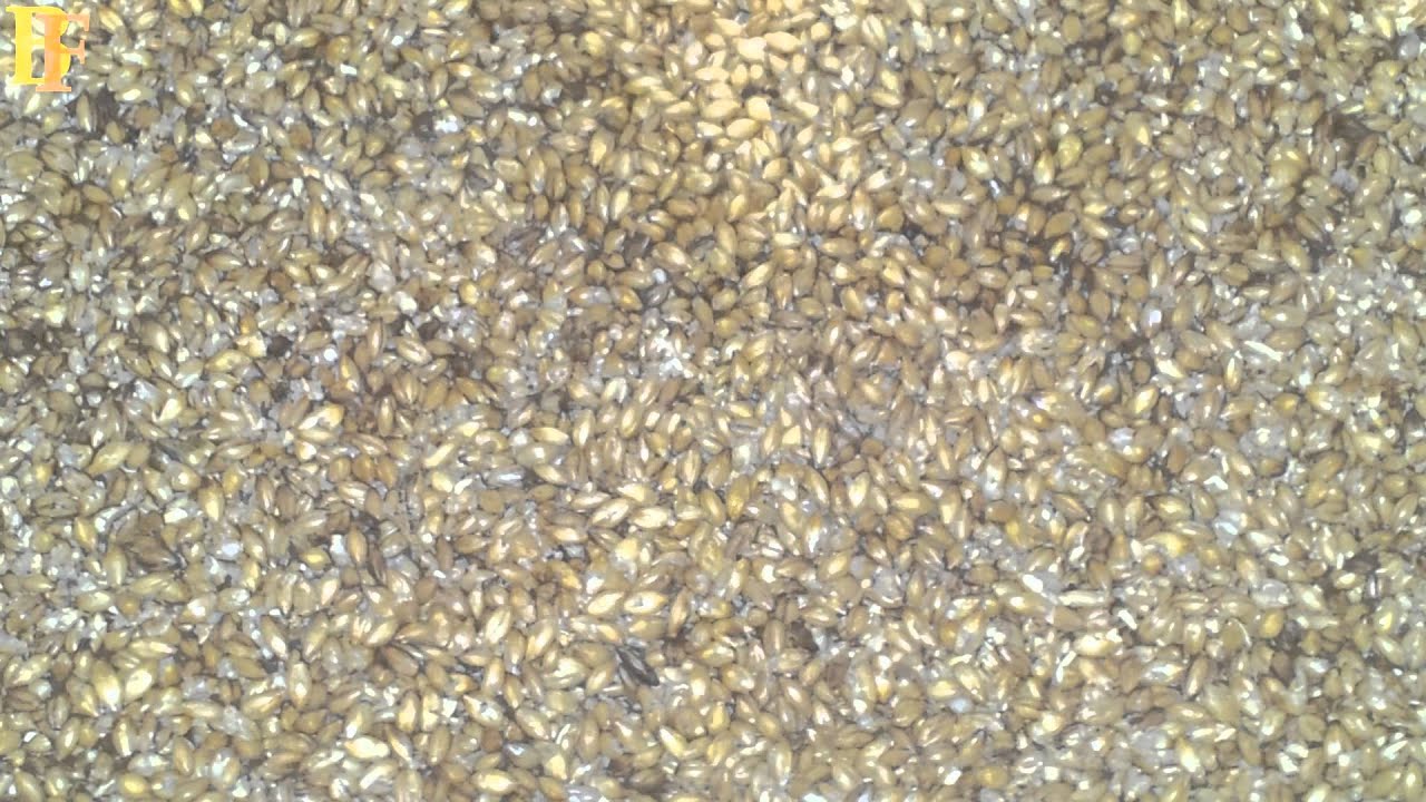 All Grain Spargin' System - Come 
