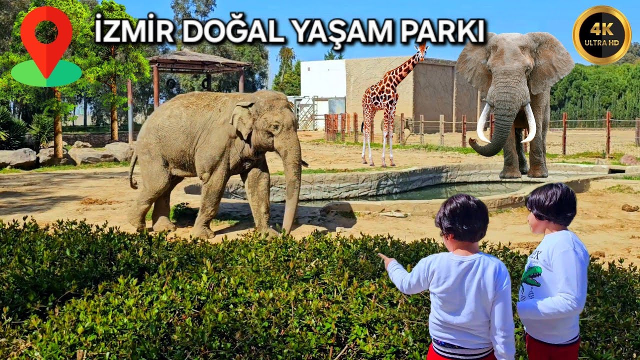 İZMİR DOĞAL YAŞAM PARKI -YEMYEŞİL DOĞA İLE İÇ İÇE HAYVANLAR DÜNYASINI GEZİSİ 4K ( 2024)