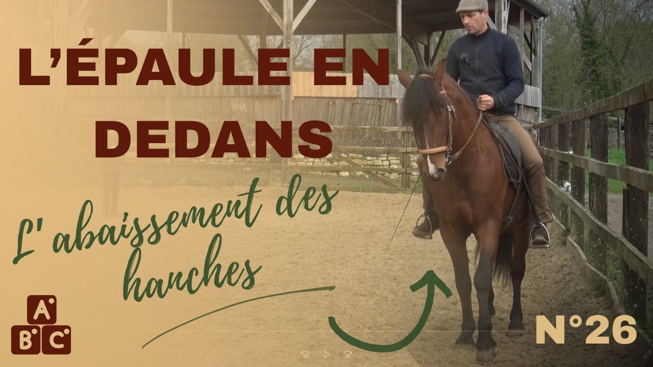 ⭐ &Eacute;paule en dedans : comprendre l&rsquo;abaissement des hanches ⭐
