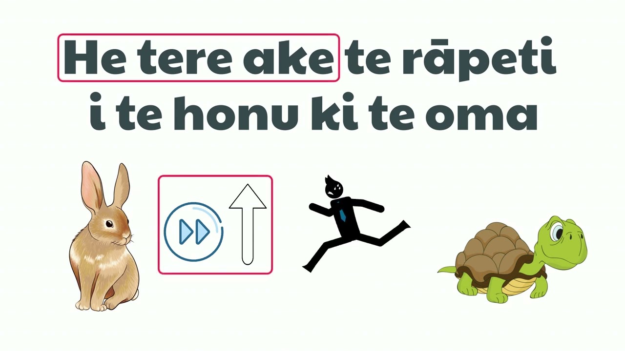 Больше сравнений — изучайте маори