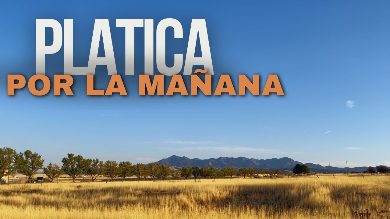 Una mañana de platica y suculentas