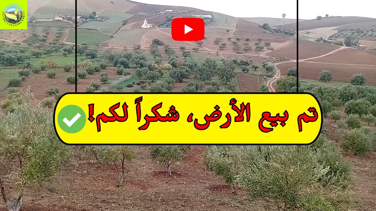 للبيع أرض فلاحية محفظة بسيدي علال المصدر مساحة 4.111 متر² صالحة للاستثمار وتضم أشجار زيتون 🌿💰