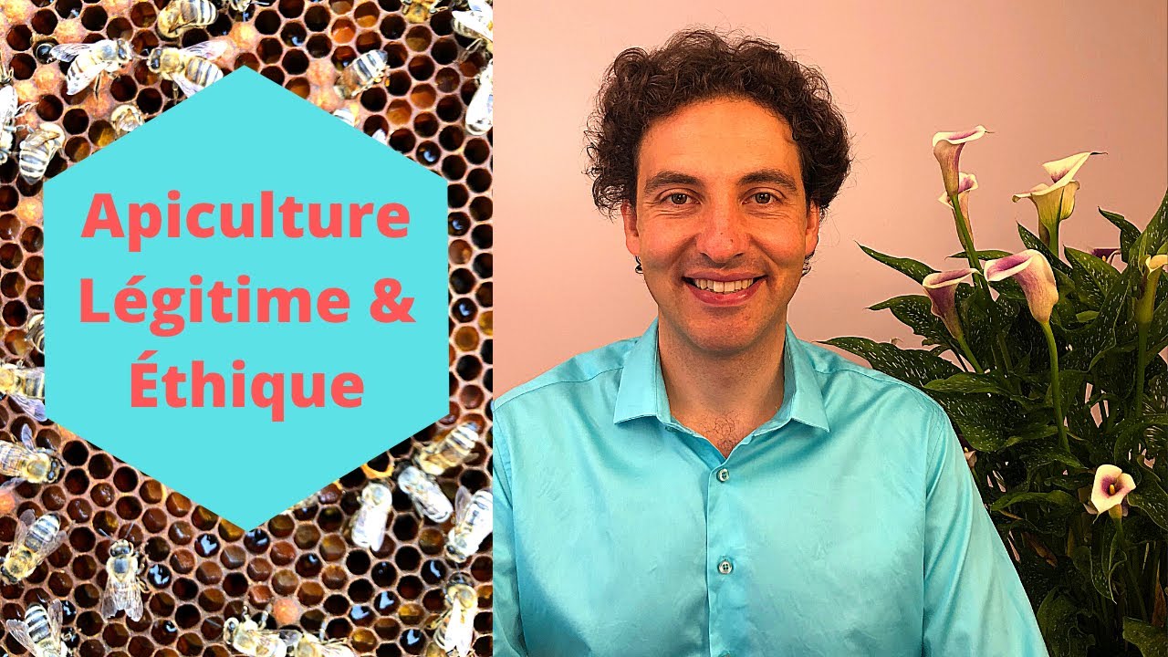 Happy-Culture Apithérapie - Est-il légitime de récolter miel, pollen et propolis des abeilles?