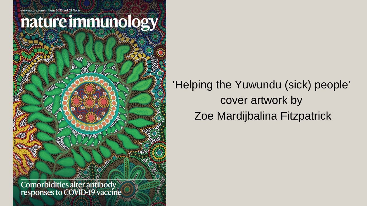 Nature Immunology artwork cover: Helping the Yuwundu (sick) people