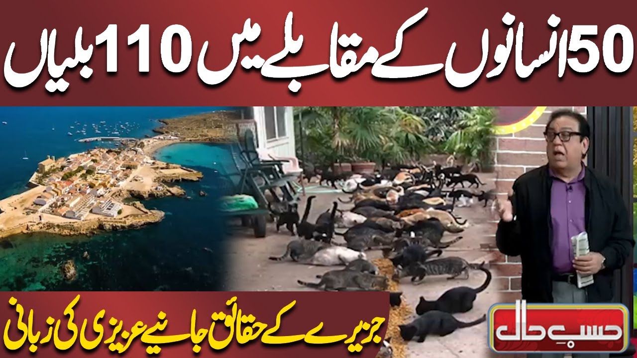 50 Insanon Ke Muqable Mein 110 Billiyan | Azizi Ki Bari Khabar | Hasb e Haal