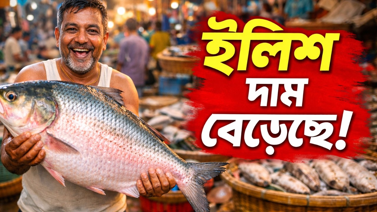 Fish Shortage Today Ilish Demand High