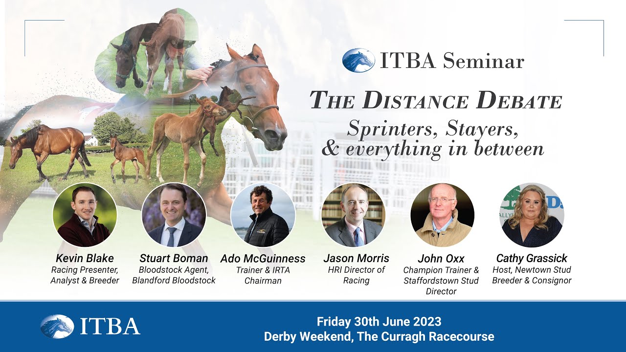 ITBA Flat Seminar - The Distance Debate
