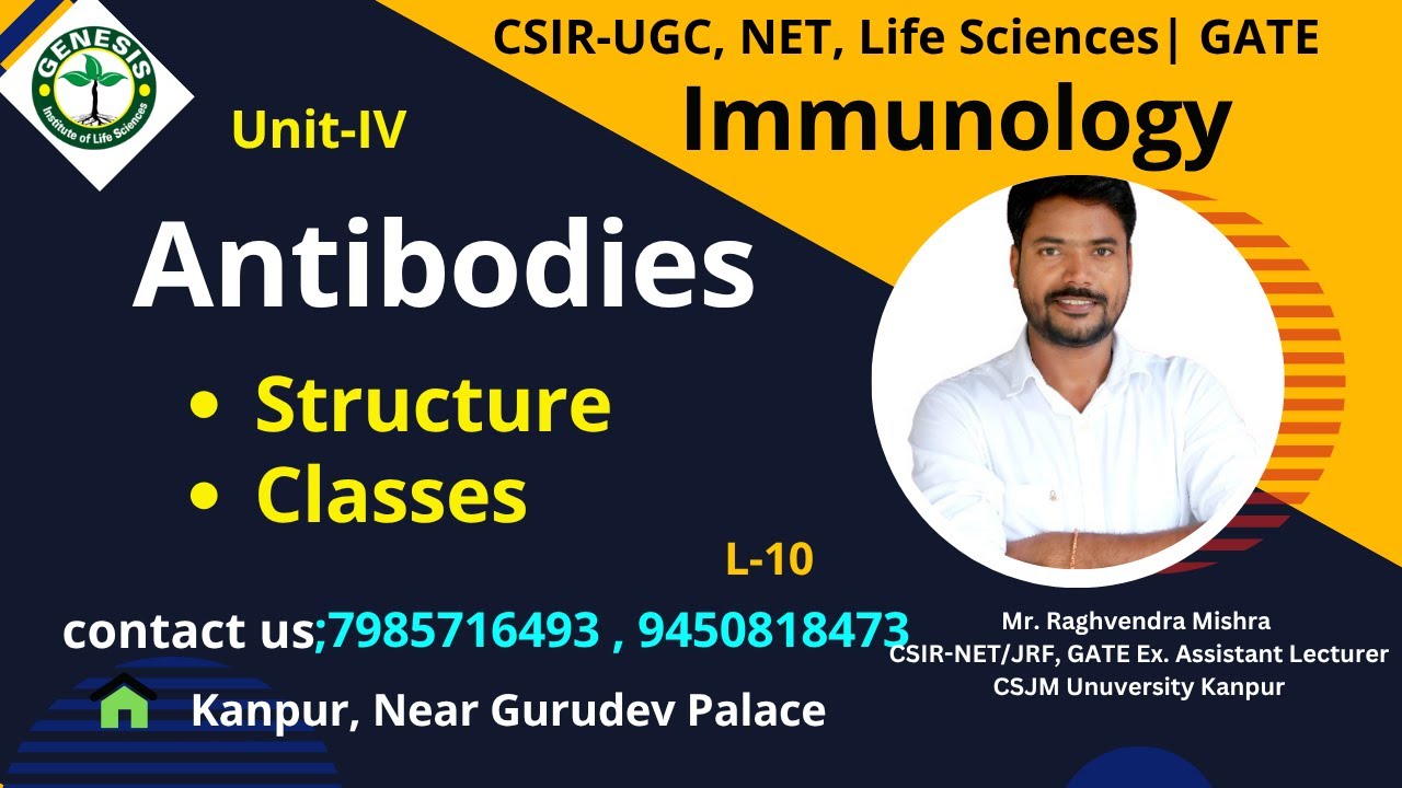 Antibodies | Structure & Classes of Antibodies | Immunology | 