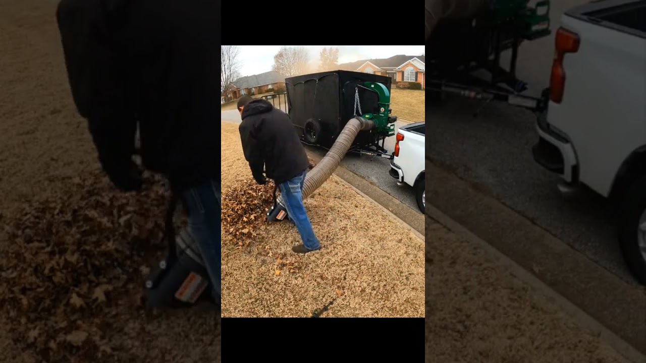 Leaf Removal Time-lapse #Timelapse #lawn #landscape #lawncare