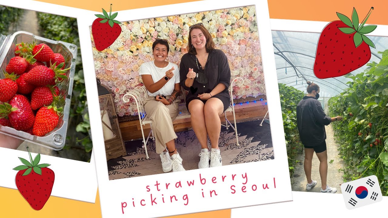 Strawberry Picking In Seoul 🍓| Seoul Vlog ep 5 🇰🇷 | Read As A Dodo