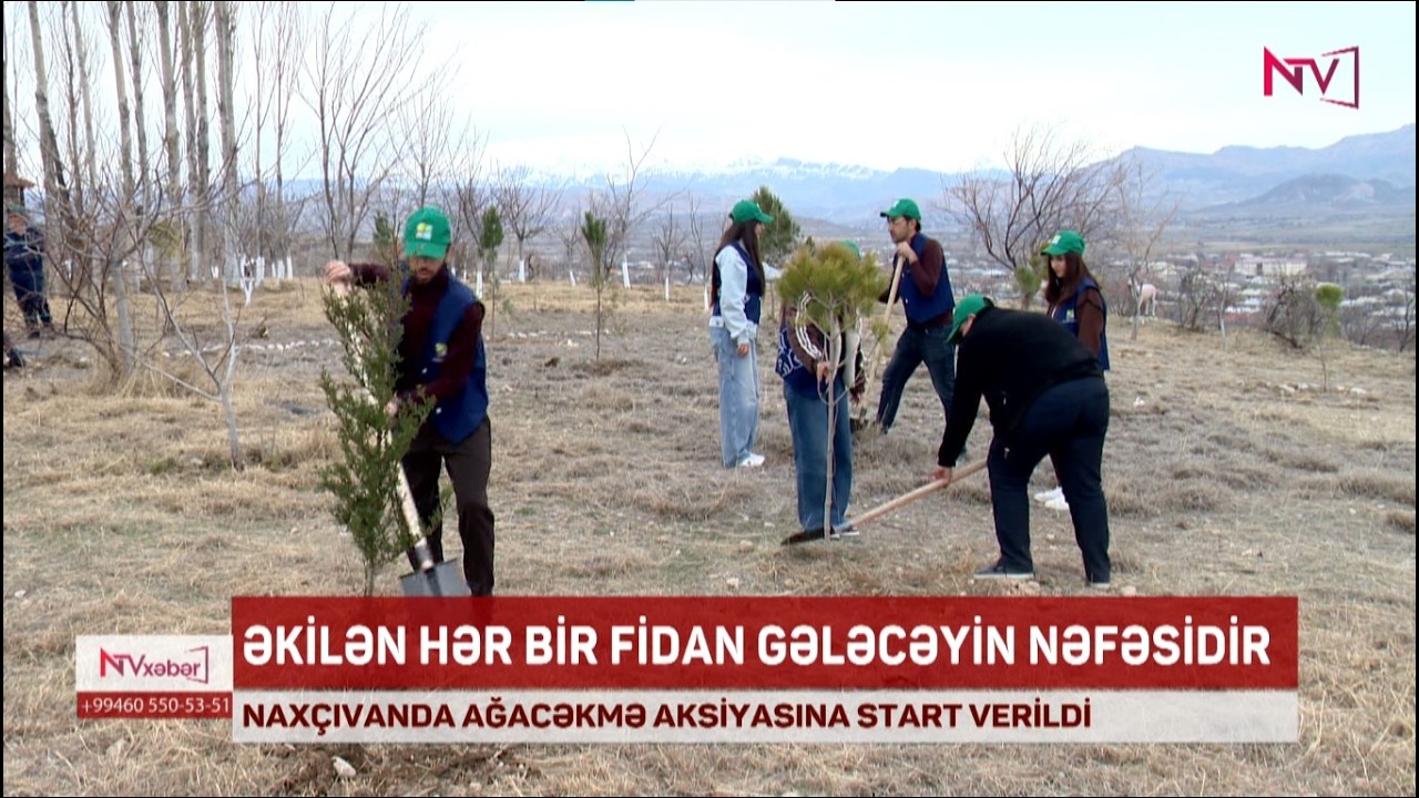 NAXÇIVANDA AĞACƏKMƏ AKSİYASINA BAŞLANILIB