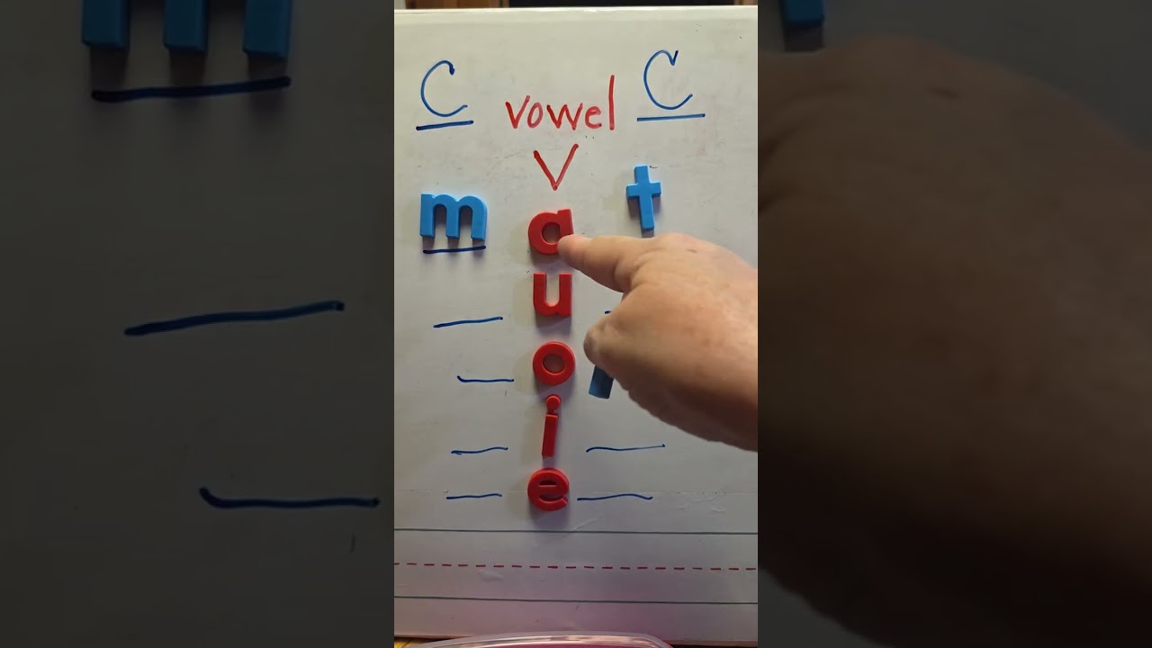 Phonics: CVC Word Building Review
