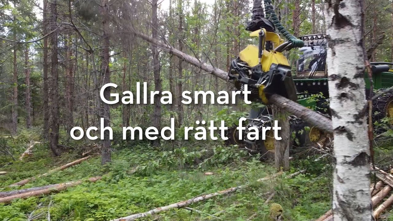 Gallra smart och med rätt fart