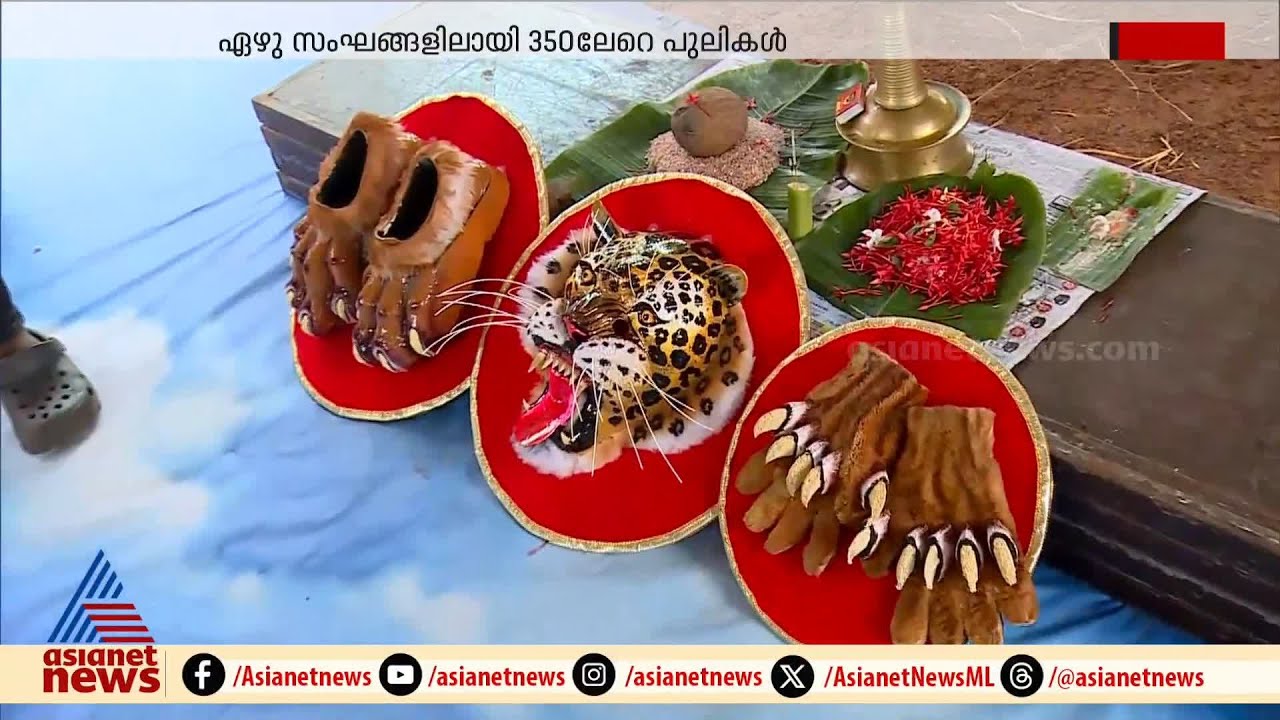 പുലികൾ മടയിൽ നിന്ന് പുറത്തേക്ക്; നാളെ തൃശ്ശൂരിൽ പുലികളിറങ്ങും | Thrissur