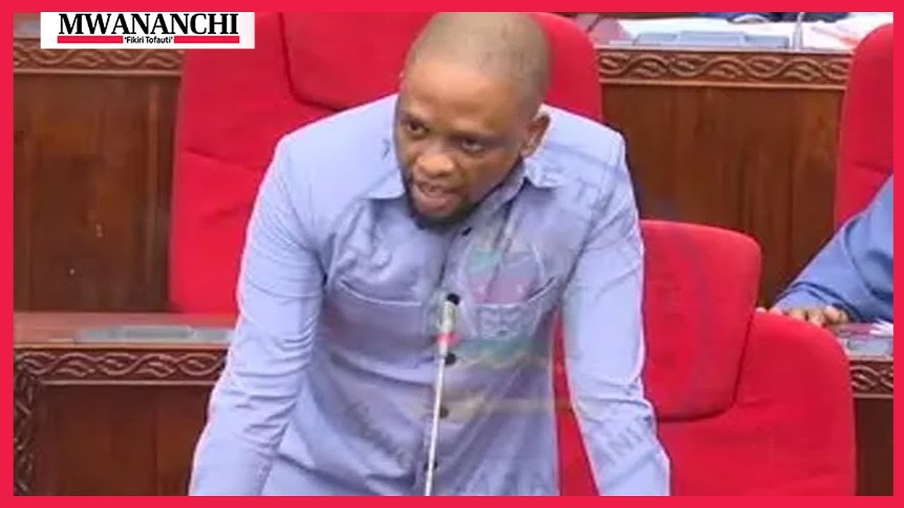 Msikilize  Mwana FA alivyonguruma  bungeni || Hali ni mbaya halmashauri ya Muheza