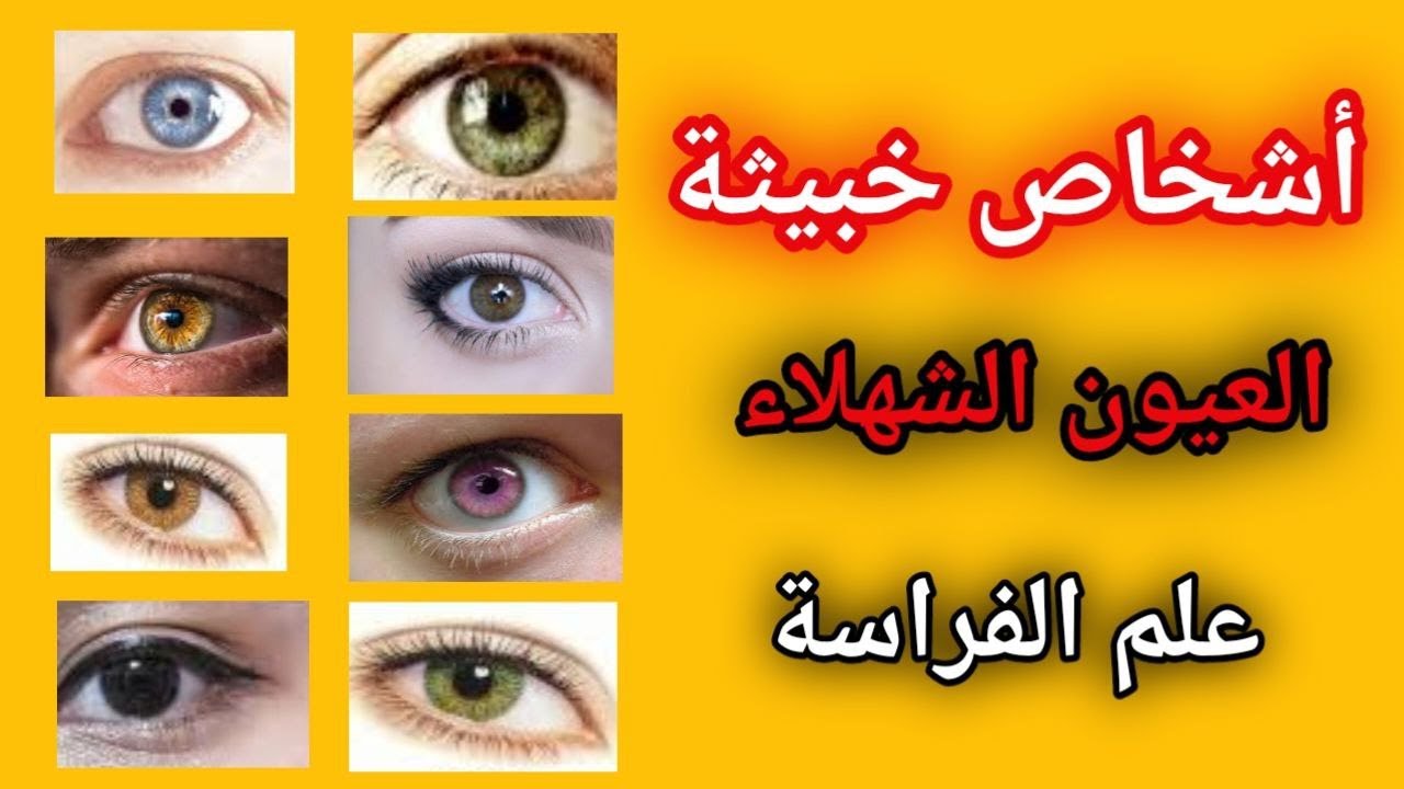 العيون الشهلاء علم الفراسة