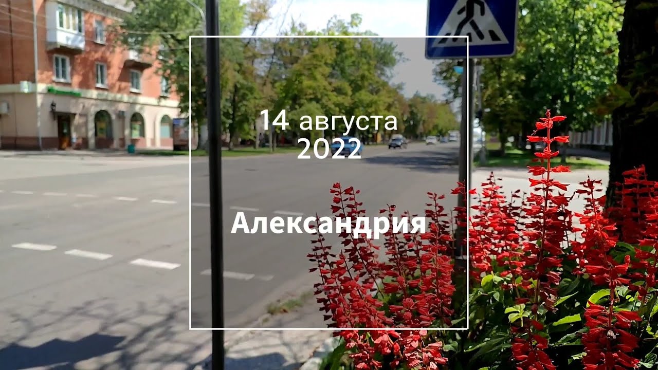 Александрия 14 августа 2022