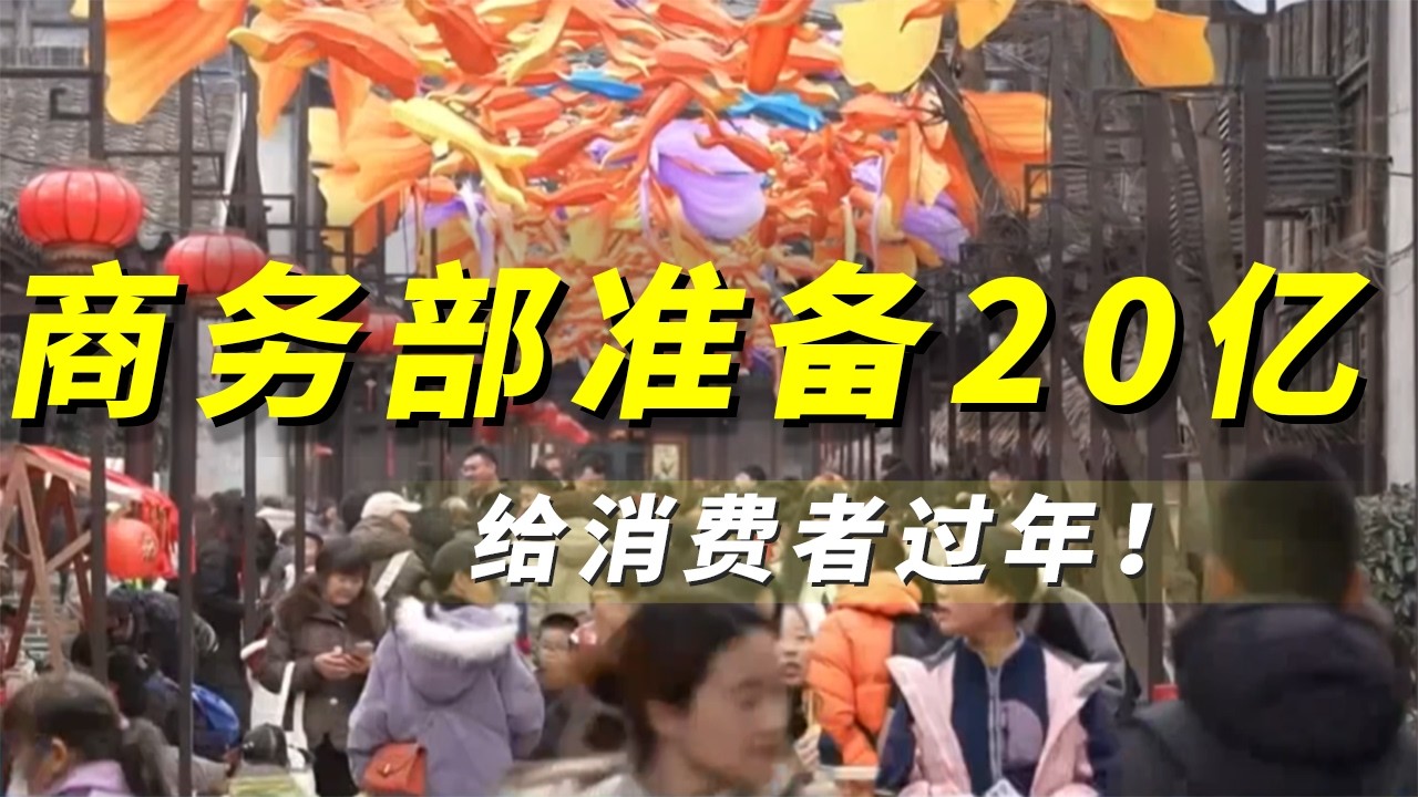 政策礼包一马当先，商务部联合六部门策划“乐购新春”特别活动 《央视财经评论》 20260211 |  财经风云