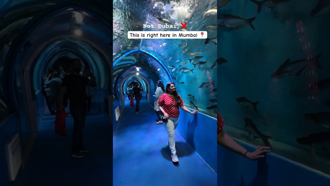 India&rsquo;s Largest Underwater Fish Tunnel Expo happening in Borivali