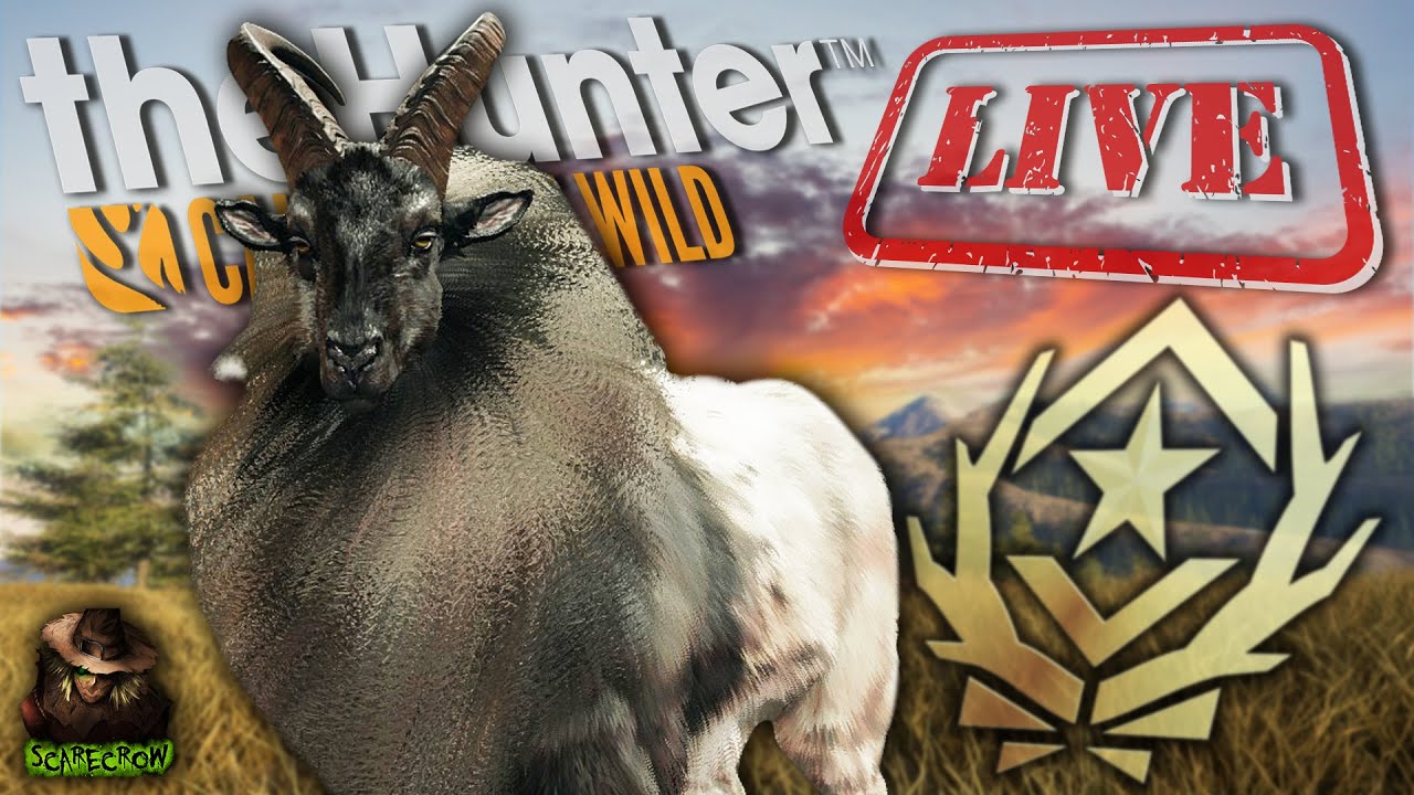 *PART 2* Tahr Grind Extravaganza! 3285 Tahr Into The Great One Grind! Call of the wild