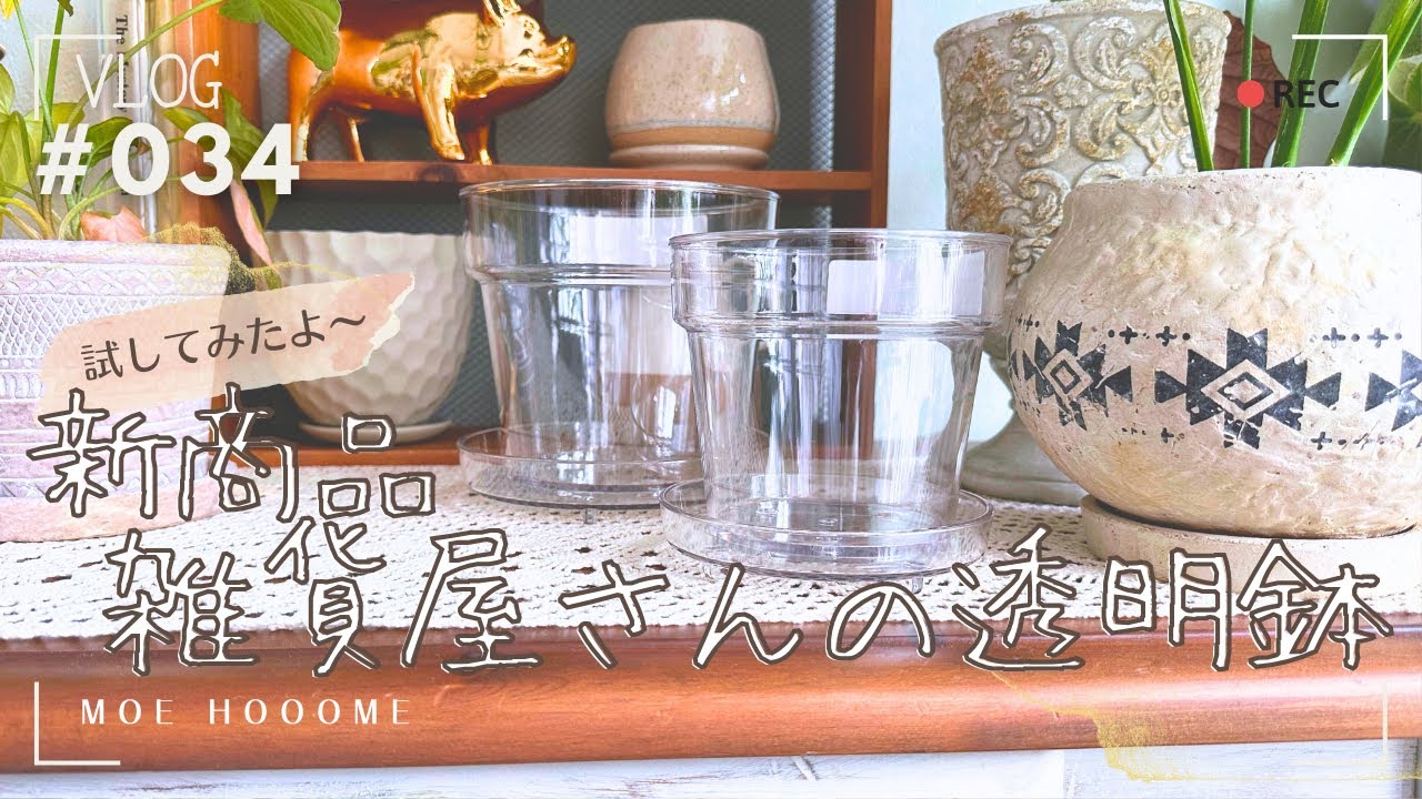【新商品試してみた】雑貨屋さんの透明鉢：スタンダードプロダクツ（Vlog/034）