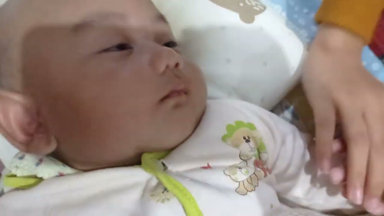 Hanan #2026 