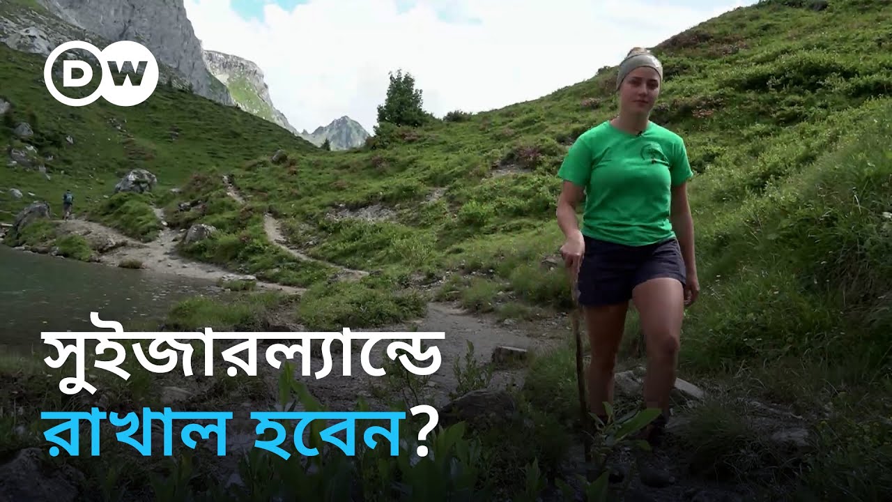 রাখালের অভাব সুইজারল্যান্ডে, ঘাটতি মেটাচ্ছে অভিবাসী কর্মীরা