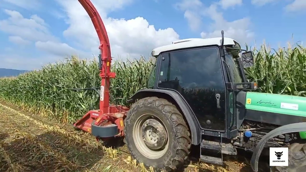 MISIR SİLAJI YAPIYORUZ / DEUTZ FAHR AGROPLUS 410 - ÖZBUDAK PREDATOR 1250