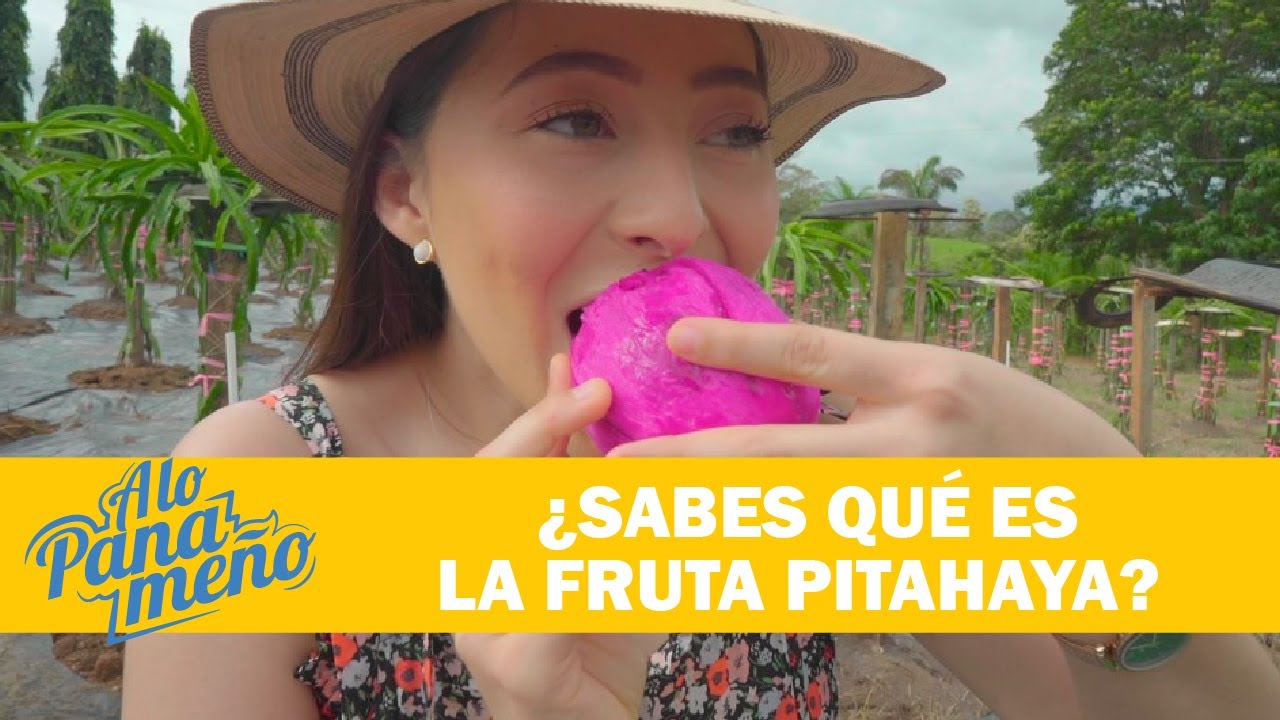 A LO PANAMEÑO | ¿SABES QUÉ ES LA FRUTA PITAHAYA?