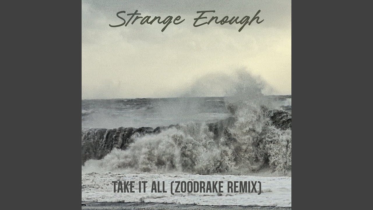 Take it all (ZOODRAKE Remix)