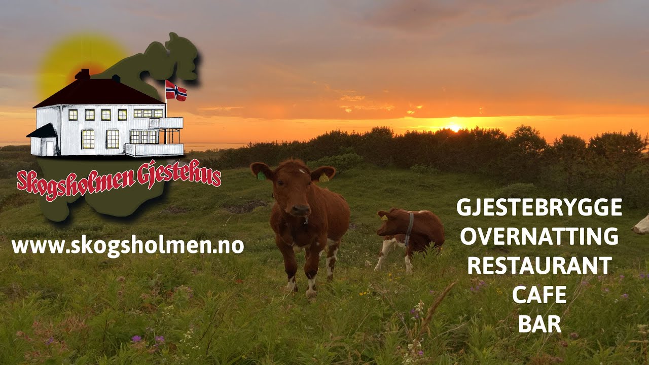 Skogsholmen Gjestehus - En perle i Vegaøyan Verdensarv.
