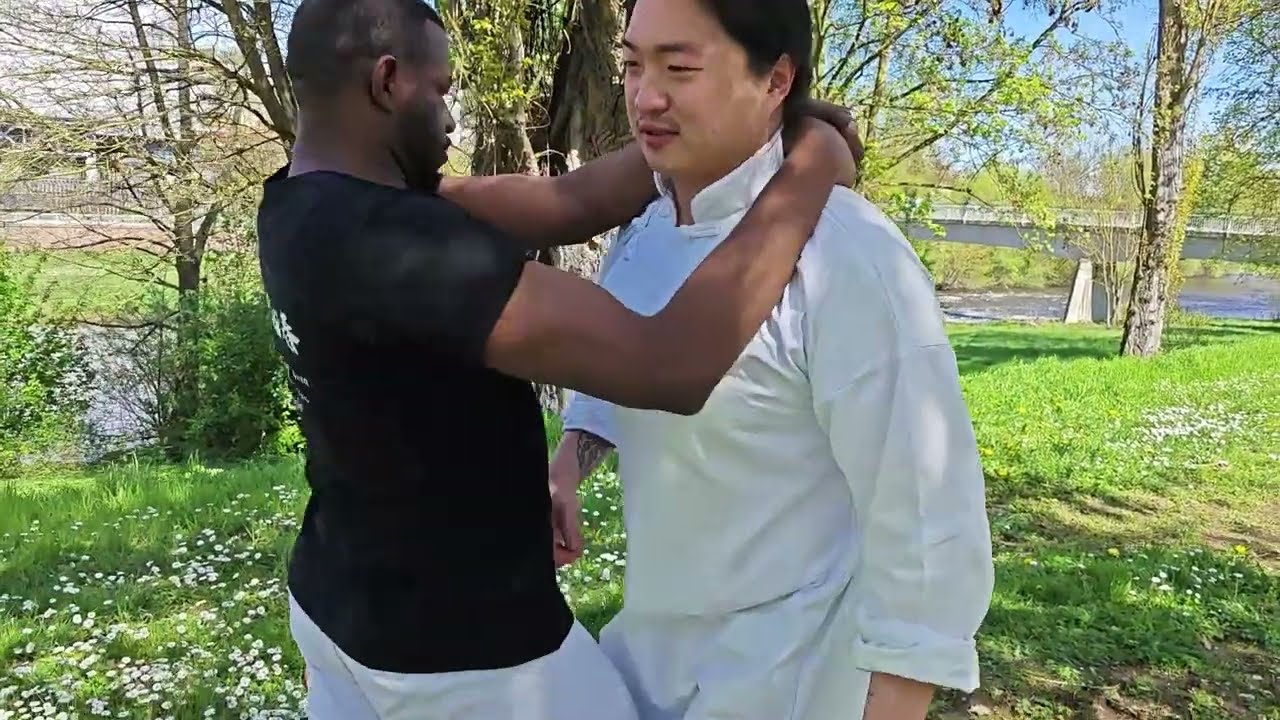Tai Chi 24 Outdoor Training - Sektion 9