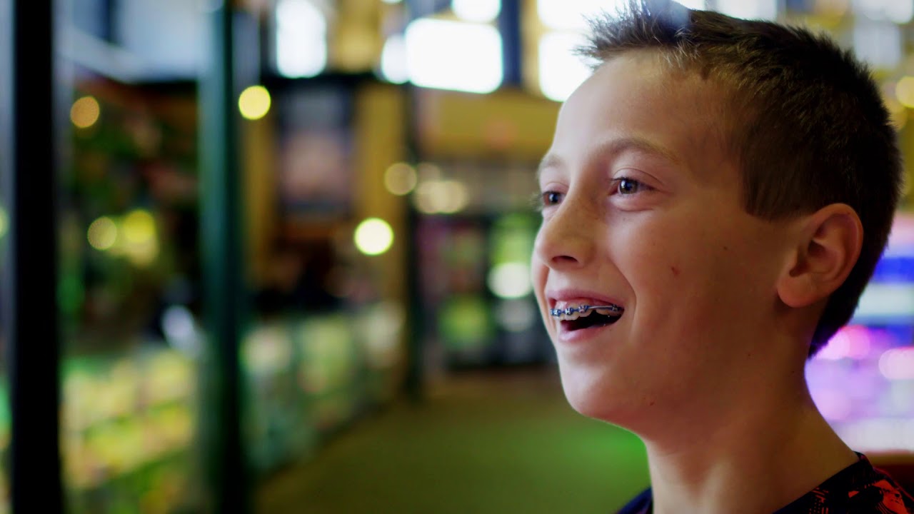 Willy Crash Arcade Game & App!