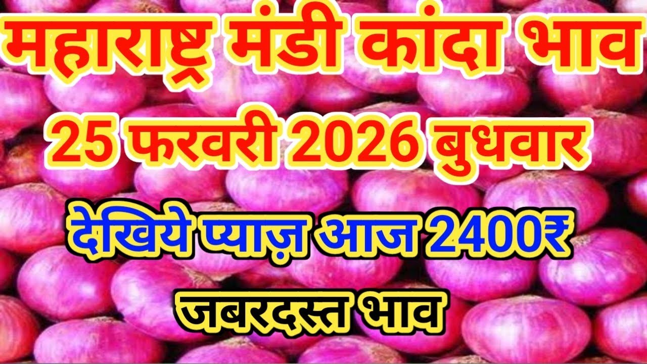 25 फरवरी 2026 महाराष्ट्र प्याज के होलसेल भाव Maharashtra onion marketwholesale price #onionmarket