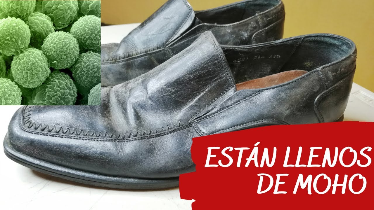 ASMR Shoe Shine | Restauración Extrema: ¿Cómo Limpiar Zapatos con Moho?