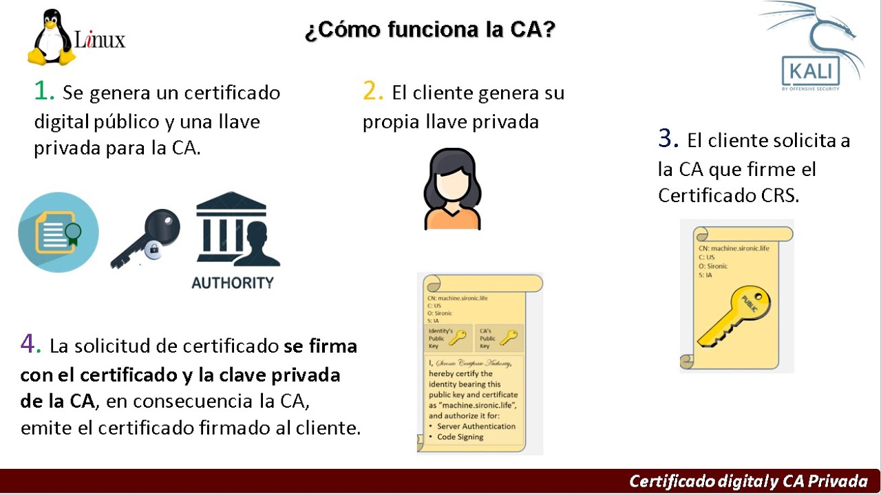 Certificado digital auto firmado Autoridad Certificadora Privada