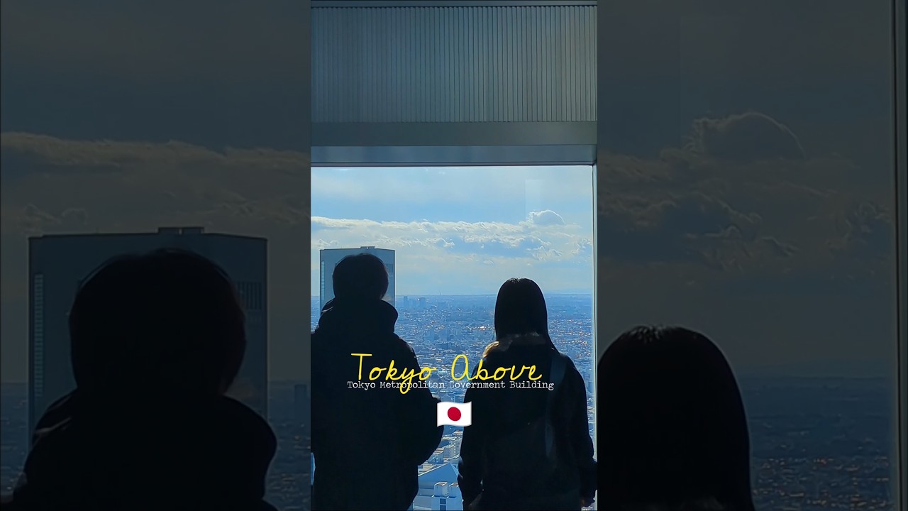 Bird's view of Tokyo 
