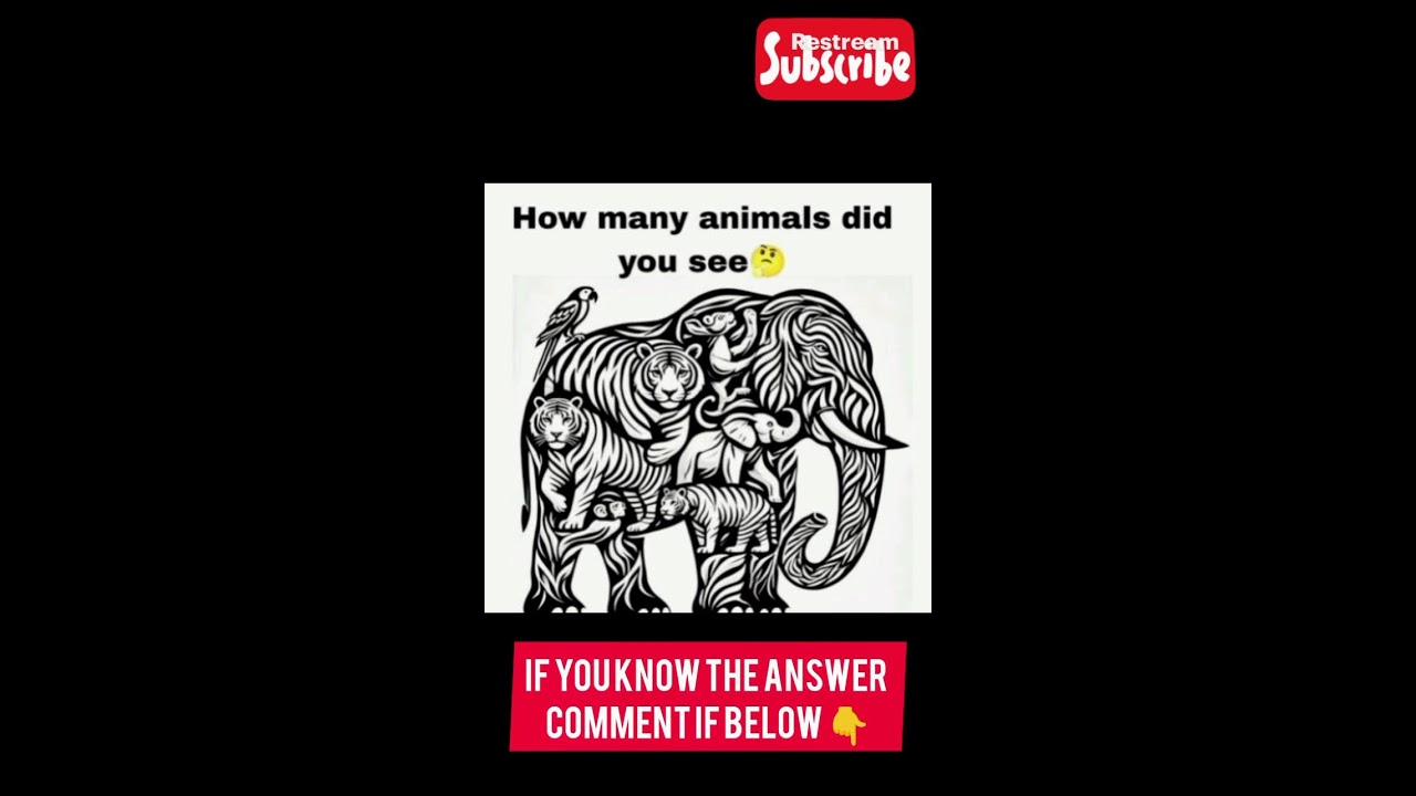 How many animals did you see ?